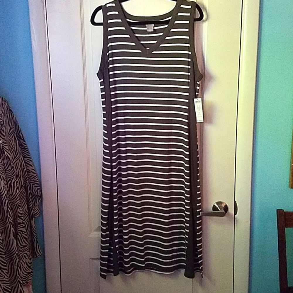 Chicos size 2 sleeveless dress nwt